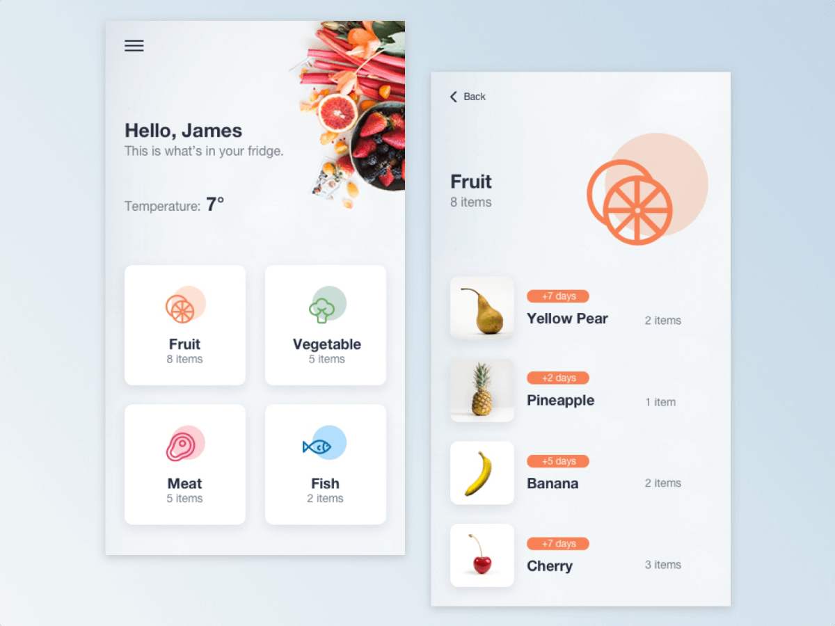 Fridge app design